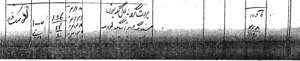 Original Gharka jamabandi cultivator entry for Hardit and Bahal, khatauni 1056.